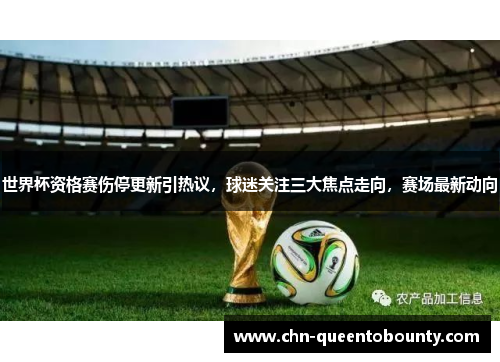 世界杯资格赛伤停更新引热议，球迷关注三大焦点走向，赛场最新动向