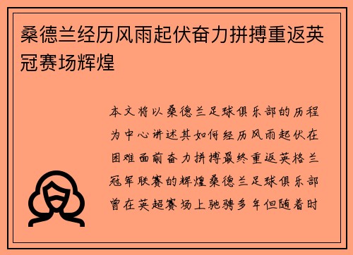 桑德兰经历风雨起伏奋力拼搏重返英冠赛场辉煌 桑德兰经历风雨起伏奋力拼搏重返英冠赛场辉煌